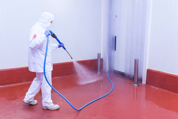 Best Restaurant Pressure Washing  in Randolph, NE
