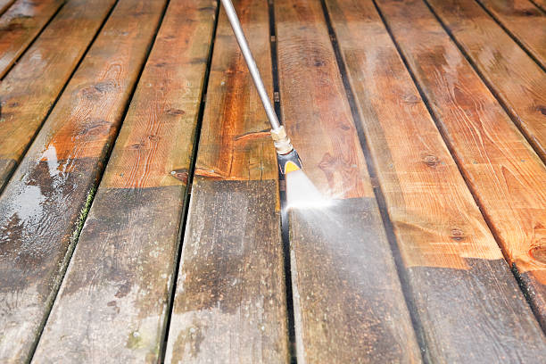 Best Residential Exterior Washing  in Randolph, NE