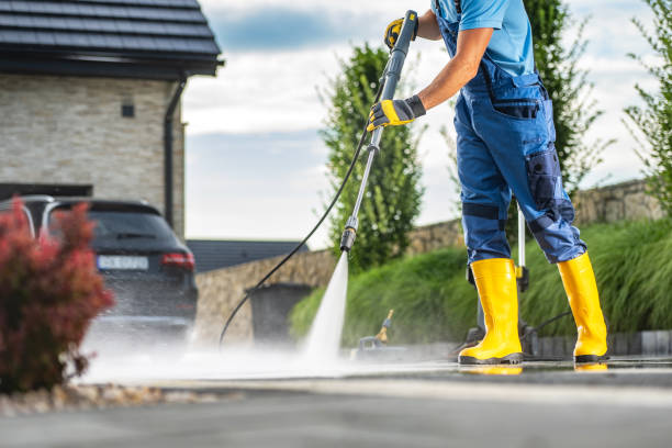 Animal Enclosure Cleaning in Randolph, NE
